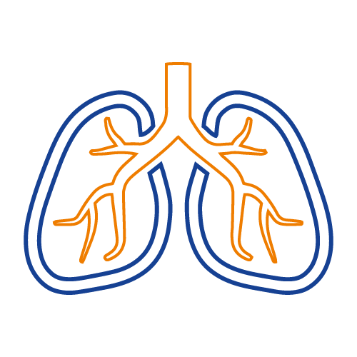 Respiratory & chest specialist